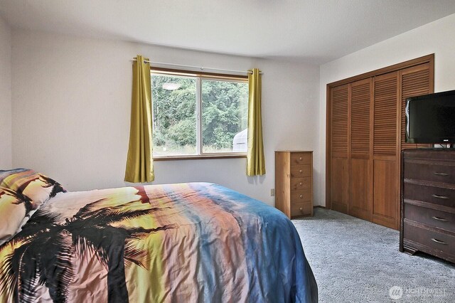 464 Stillmeadow Rd, Coupeville, WA 98239 - photo 31