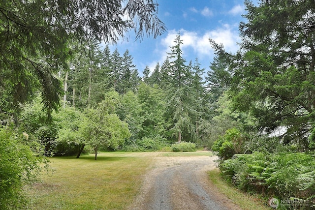 464 Stillmeadow Rd, Coupeville, WA 98239 - photo 2