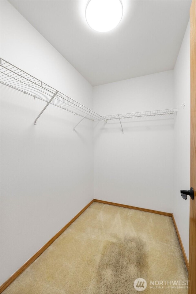2819 Z St SE, Auburn, WA 98002 - walk in closet with light colored carpet