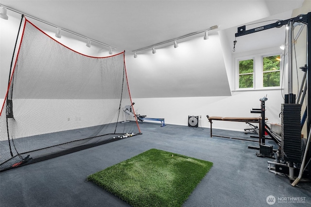 5222 Mahncke Rd SW, Longbranch, WA 98351 - workout room with rail lighting and carpet floors