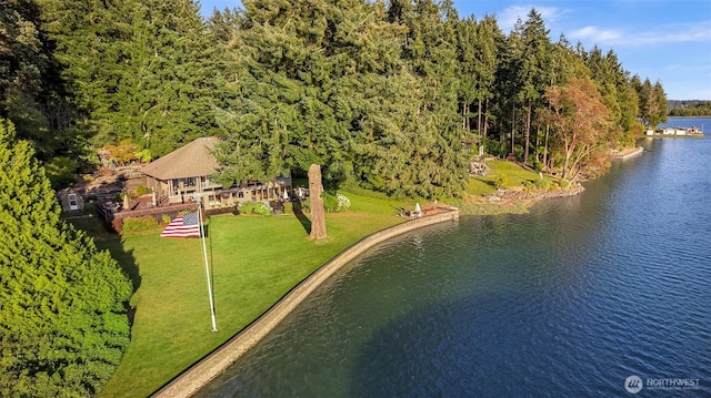 5222 Mahncke Rd SW, Longbranch, WA 98351 - view from above of property featuring a heavily wooded area and a nearby body of water