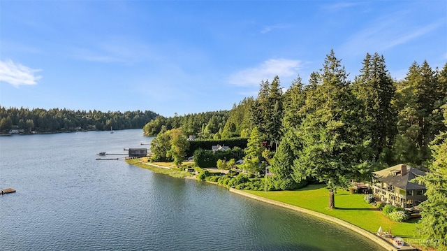 5222 Mahncke Rd SW, Longbranch, WA 98351 - water view with a forest