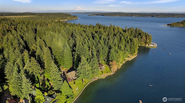 5222 Mahncke Rd SW, Longbranch, WA 98351 - drone / aerial view of a large body of water and a forest