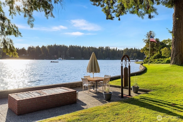 5222 Mahncke Rd SW, Longbranch, WA 98351 - dock featuring a yard, a water view, and a forest view