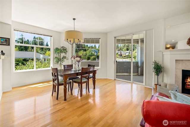 2244 SE 132nd Ave Unit B217, Bellevue, WA 98005 - dining space featuring plenty of natural light, light wood-style flooring, and a tiled fireplace