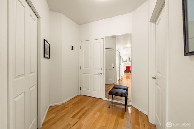 2244 SE 132nd Ave Unit B217, Bellevue, WA 98005 - hall with light wood-type flooring