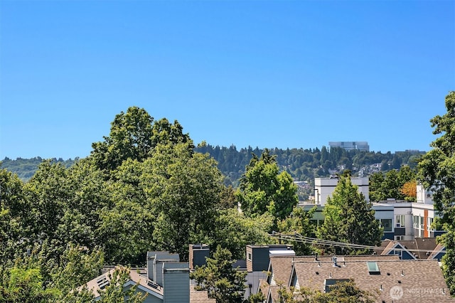 2610 E Yesler Way Unit A, Seattle, WA 98122 - view of mountain background