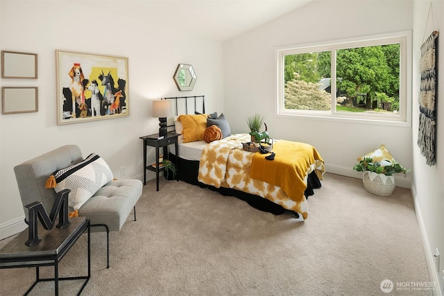 2209 177th Pl NE, Redmond, WA 98052 - photo 14