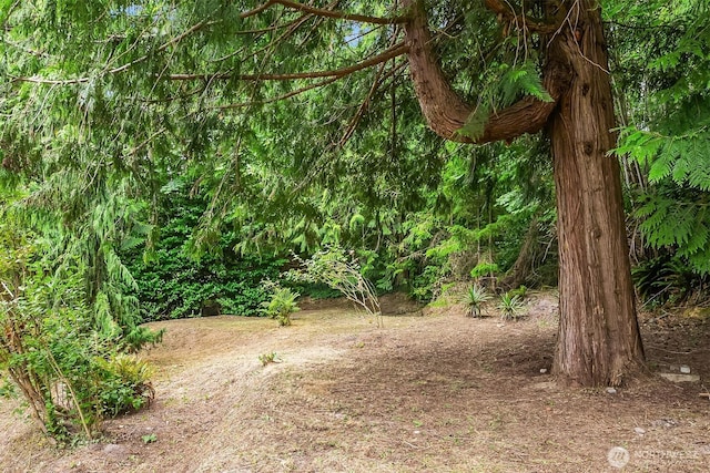 2209 177th Pl NE, Redmond, WA 98052 - photo 22