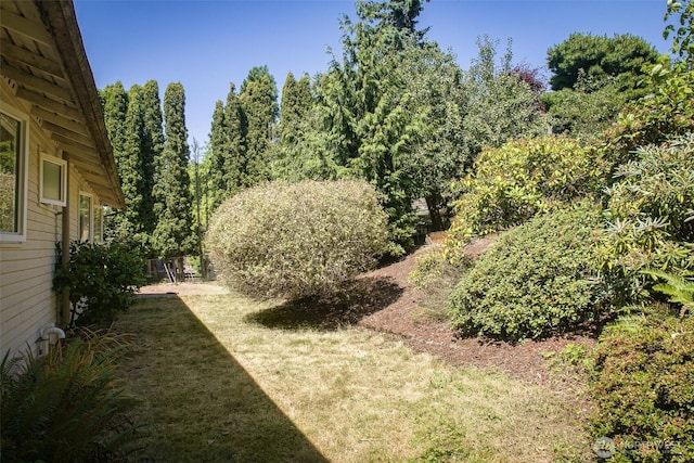 2120 Niagara Dr, Bellingham, WA 98229 - view of green lawn