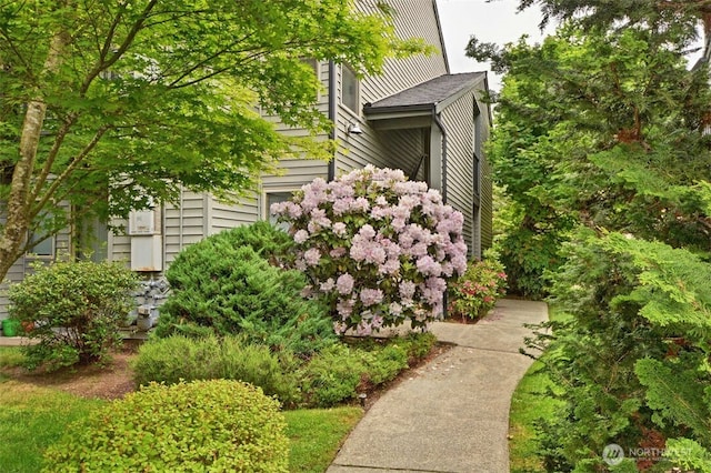 9805 Avondale Rd NE Unit T254, Redmond, WA 98052 - photo 15
