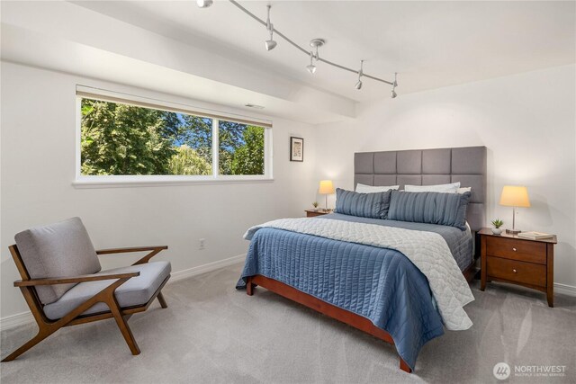 1823 121st Ave SE, Bellevue, WA 98005 - carpeted bedroom featuring baseboards and track lighting
