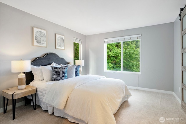 6707 SE Cougar Mountain Way Unit 2, Bellevue, WA 98006 - bedroom featuring light carpet