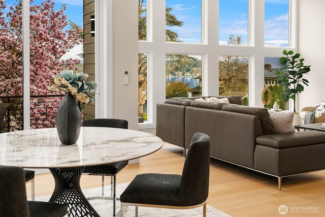 240 W Lake Sammamish Pkwy SE, Bellevue, WA 98008 - sunroom with a water view
