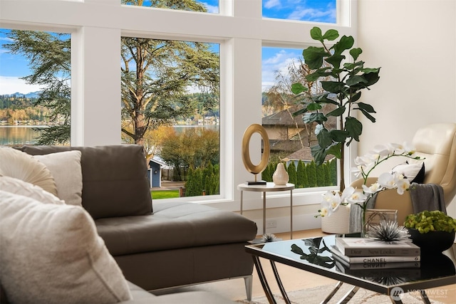240 W Lake Sammamish Pkwy SE, Bellevue, WA 98008 - sitting room with a water view