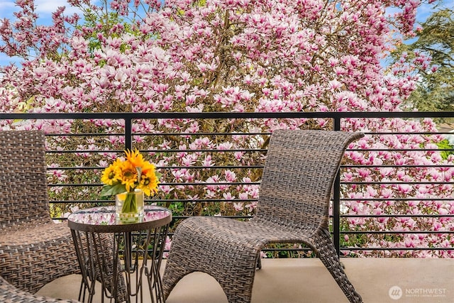 240 W Lake Sammamish Pkwy SE, Bellevue, WA 98008 - view of balcony