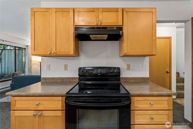 12431 129th Ave E, Puyallup, WA 98374 - photo 13