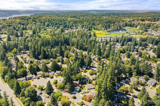 24218 SE 42nd Pl, Sammamish, WA 98029 - photo 40