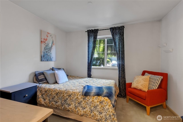 2300 Jefferson Ave NE Unit F-126, Renton, WA 98056 - bedroom featuring carpet