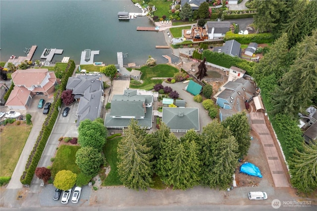 4217 Lakeridge Dr E, Lake Tapps, WA 98391 - photo 3