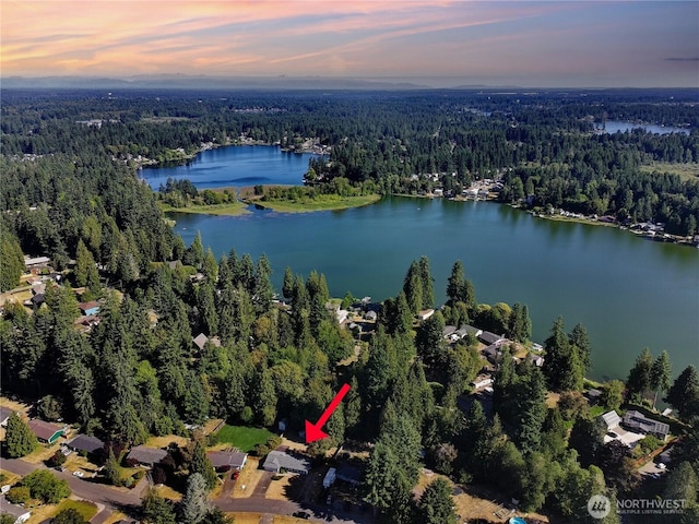 7127 Fair Oaks Loop SE, Olympia, WA 98513 - aerial view of property's location featuring a heavily wooded area and a nearby body of water