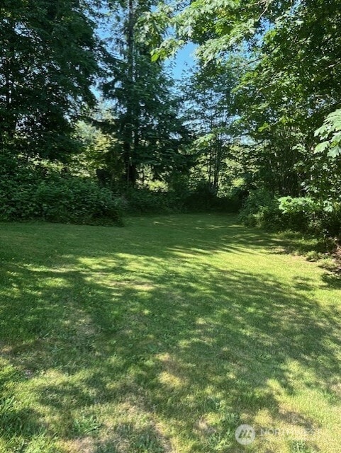 20011 Tveit Rd, Arlington, WA 98223 - view of green lawn