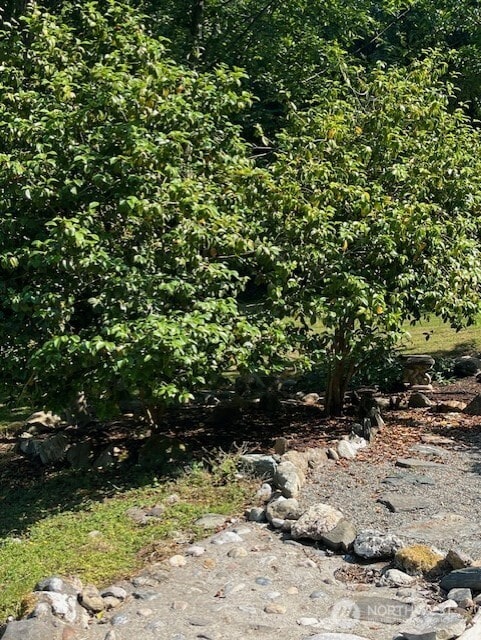 20011 Tveit Rd, Arlington, WA 98223 - view of nature