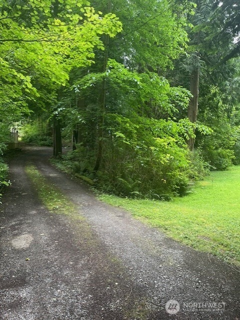 20011 Tveit Rd, Arlington, WA 98223 - view of road with a forest view