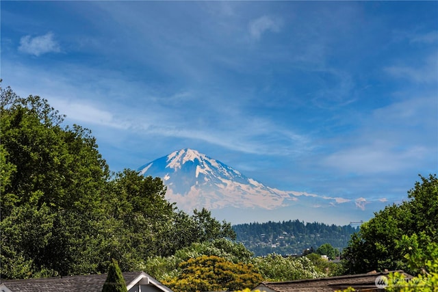 3516 NE 43rd St, Seattle, WA 98105 - mountain view