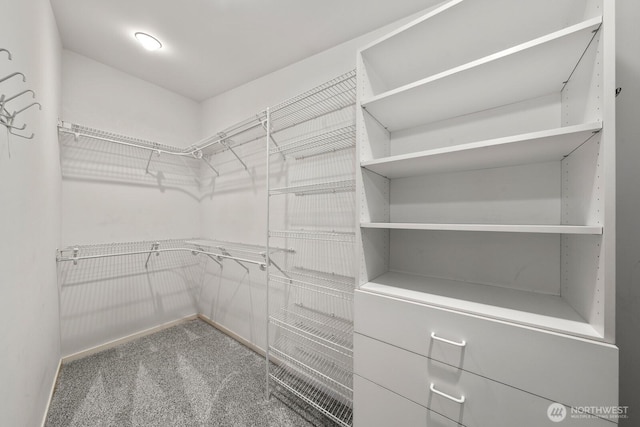 3516 NE 43rd St, Seattle, WA 98105 - spacious closet featuring carpet flooring