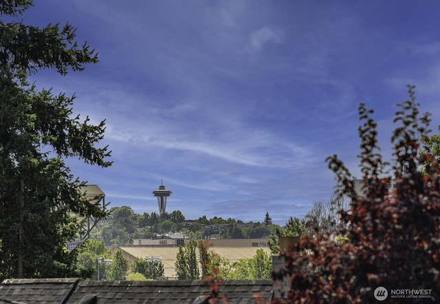 3516 NE 43rd St, Seattle, WA 98105 - view of yard