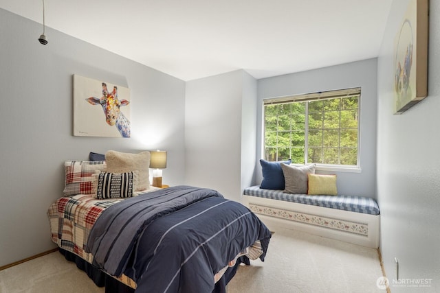 20410 Hollyhills Dr NE, Bothell, WA 98011 - photo 33