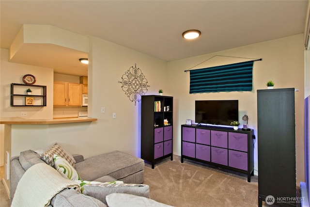 15325 SE 155th Pl Unit K1, Renton, WA 98058 - carpeted living area featuring baseboards