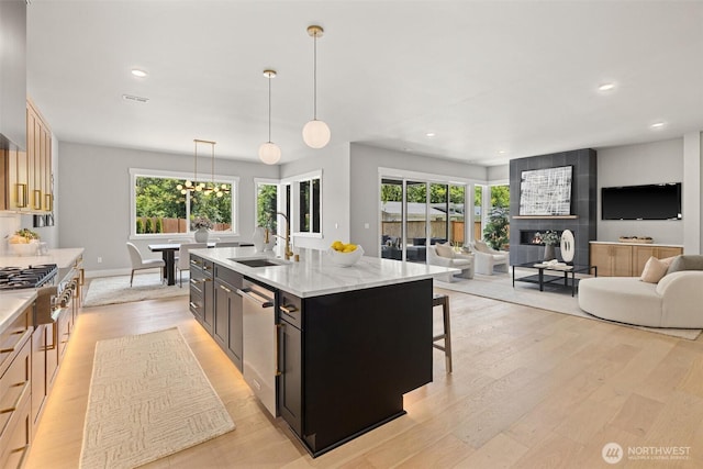 16429 Snohomish Ave SE, Clearview, WA 98296 - kitchen with plenty of natural light, light wood-type flooring, recessed lighting, and appliances with stainless steel finishes