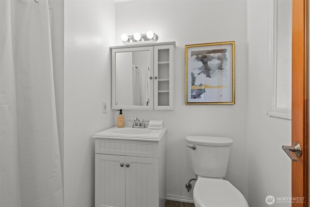8618 212th St NE, Arlington, WA 98223 - bathroom featuring vanity and curtained shower