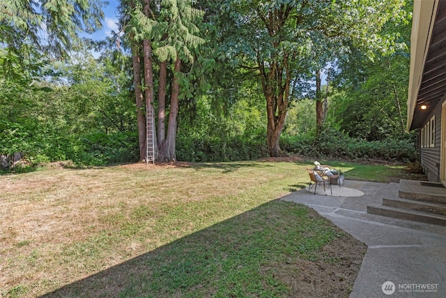 8618 212th St NE, Arlington, WA 98223 - view of grassy yard with a patio