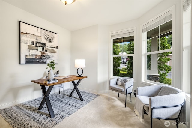 108 239th Way SE, Sammamish, WA 98074 - carpeted office space featuring baseboards