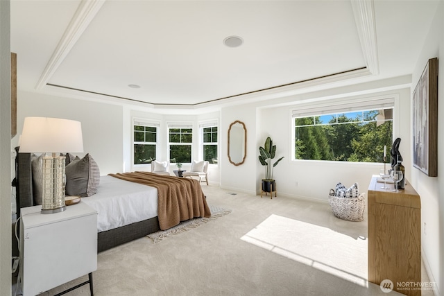 108 239th Way SE, Sammamish, WA 98074 - bedroom with a raised ceiling and carpet floors