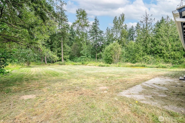 10206 48th Ave E, Tacoma, WA 98446 - photo 21