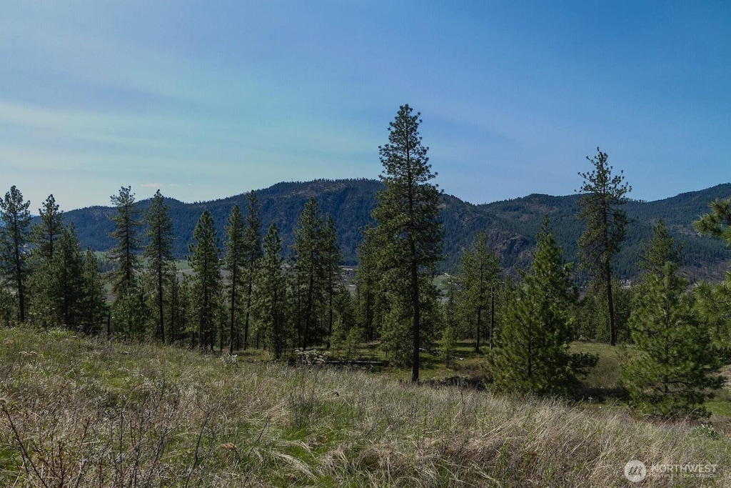 1622 Palmer Loop, Chewelah, WA 99109