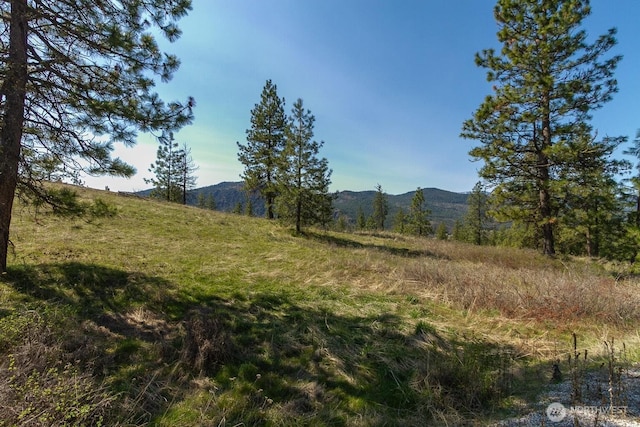 1622 Palmer Loop, Chewelah, WA 99109 - photo 1