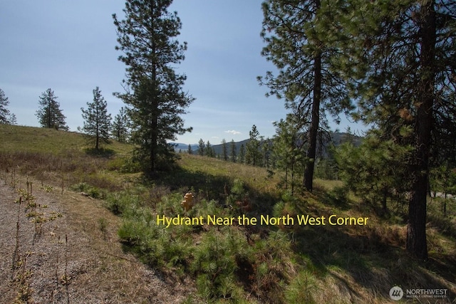 1622 Palmer Loop, Chewelah, WA 99109 - photo 2