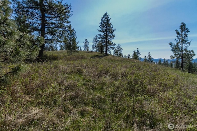 1622 Palmer Loop, Chewelah, WA 99109 - photo 3
