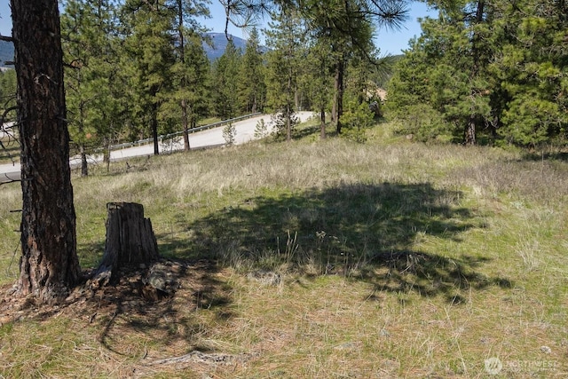 1622 Palmer Loop, Chewelah, WA 99109 - photo 9