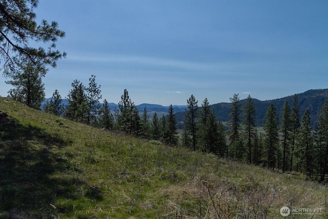 1622 Palmer Loop, Chewelah, WA 99109 - photo 10