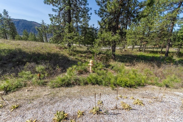 1622 Palmer Loop, Chewelah, WA 99109 - photo 12