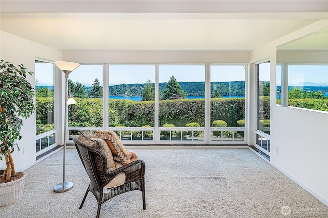 3719 NE 145th St, Seattle, WA 98155 - sunroom with carpet floors, a water view, and healthy amount of natural light