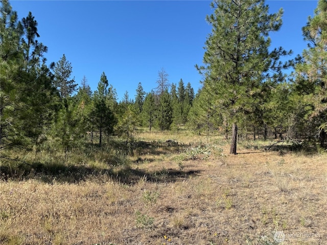 0 Tbd, Davenport, WA 99122 - photo 1