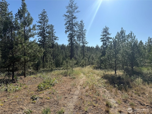 0 Tbd, Davenport, WA 99122 - photo 4