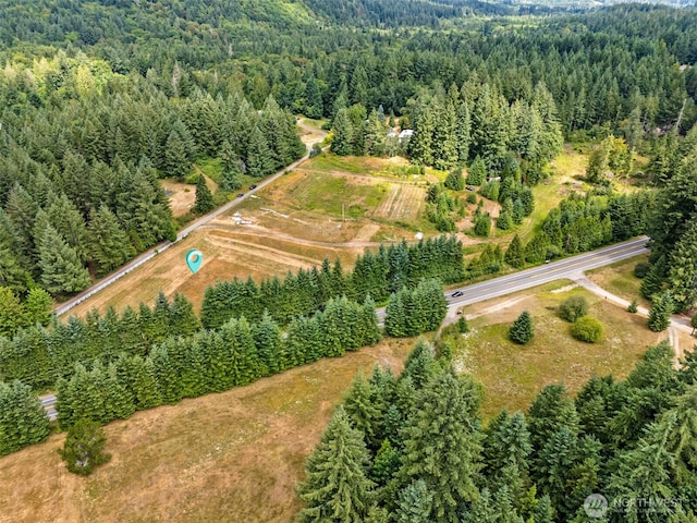 0 Delphi Rd SW, Olympia, WA 98512 - photo 8